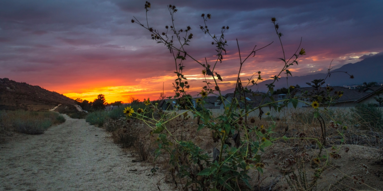 A dark dirt path leads through a dark landscape towards a fiery sunrise